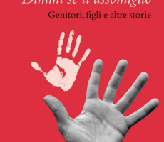 Dimmi se assomiglio